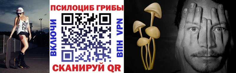 Галлюциногенные грибы Psilocybe  Купить закладки  Туймазы 